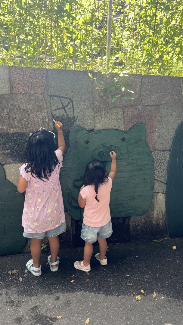 数秘を通じて気づいた夏休みの思い出の画像