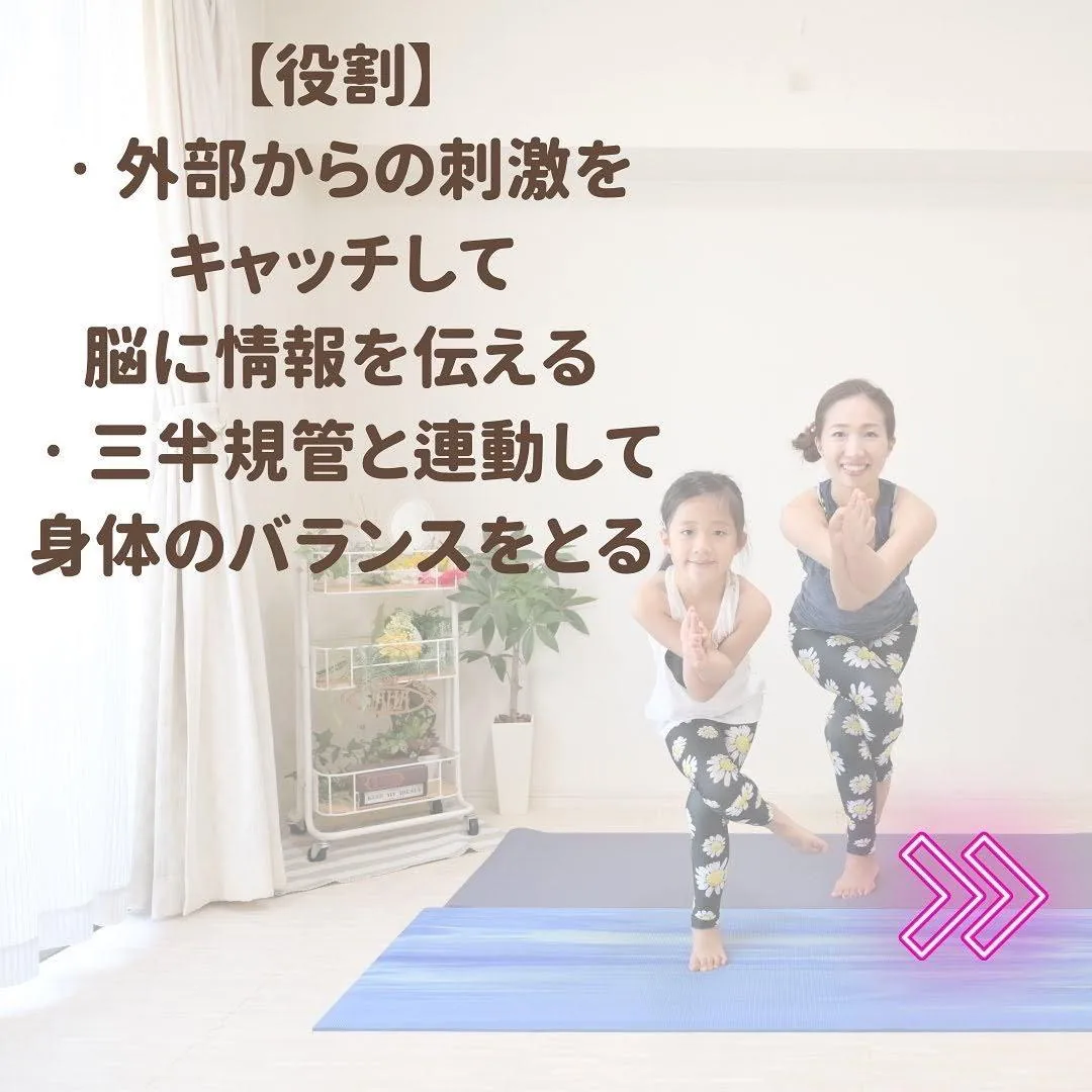 お子さまの足姿勢づくりとキッズヨガ