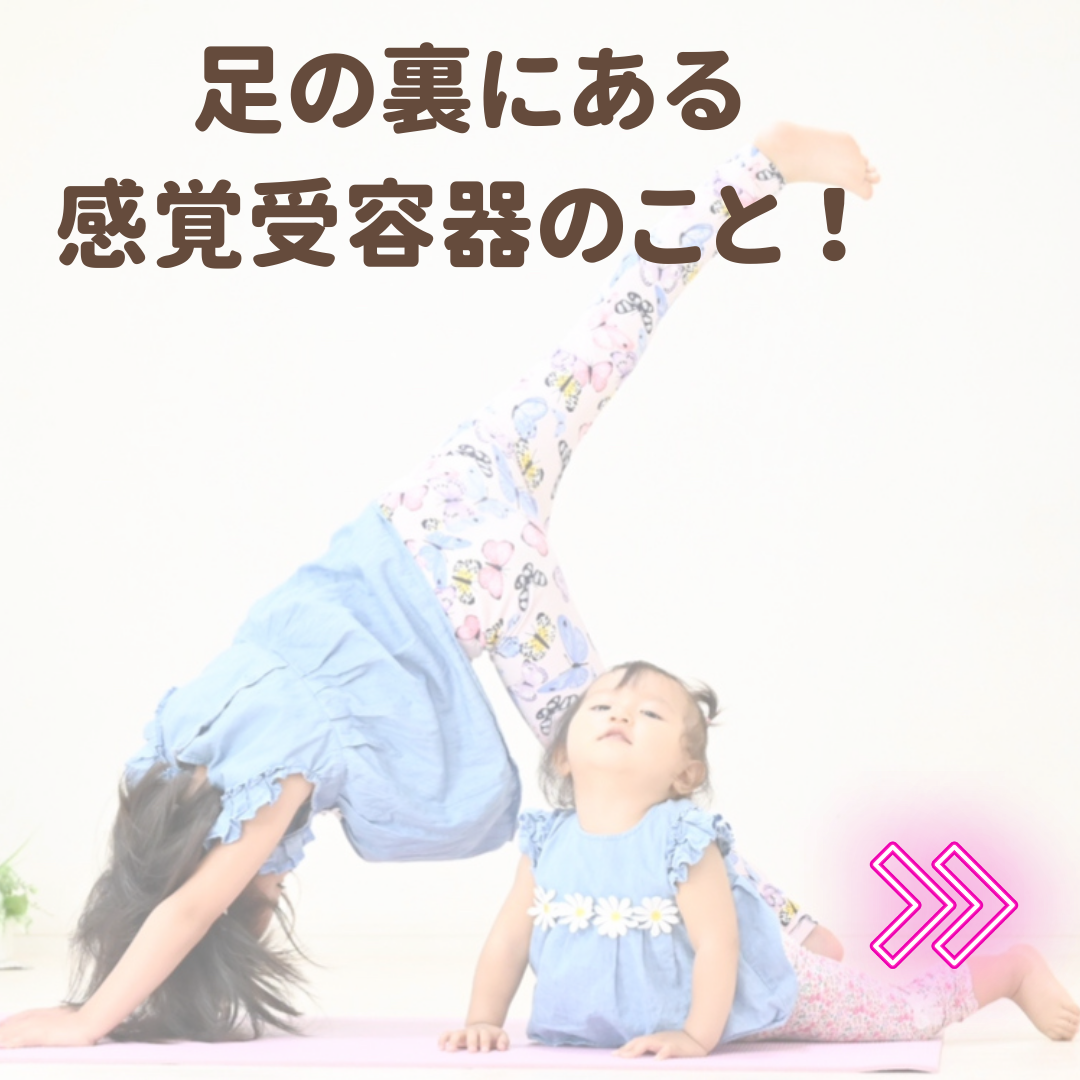 足裏のメカノレセプター解説