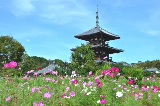 出張レッスン♡奈良県斑鳩町子育て支援センターさまの画像